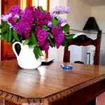 Tatil Evi Belvedere Castiglione della Pescaia